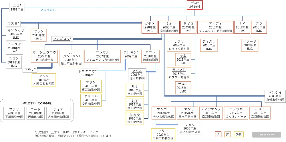 日本にいるマンドリル　デコの家系図
